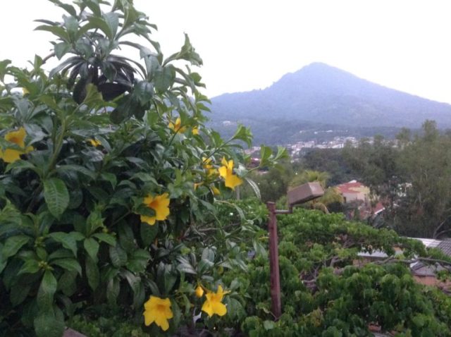 13064746_1538313513138374_6808775120716542256_o-768×573